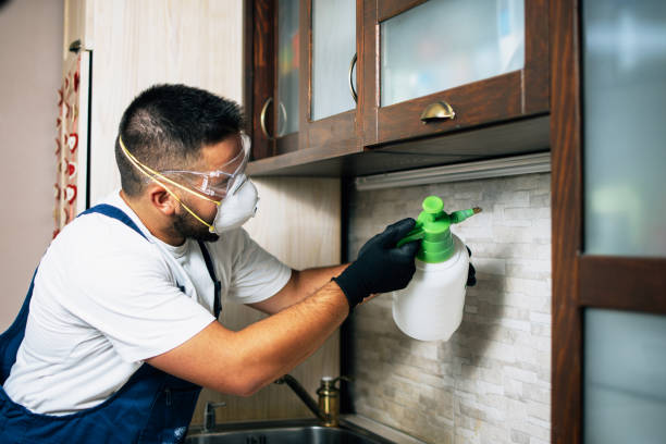 Pest Control Cost in Taft, CA