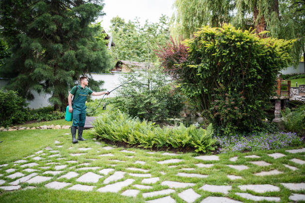 Best Cockroach Control Services  in Taft, CA